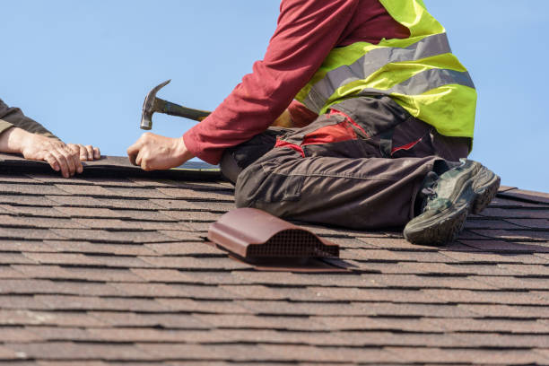 Best Roof Gutter Cleaning  in Springerville, AZ