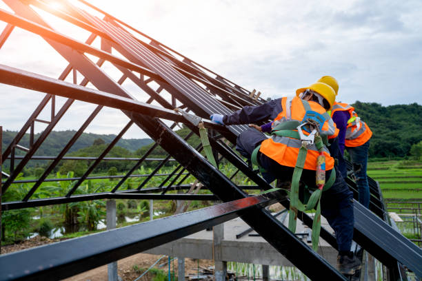 Best Metal Roofing Contractor  in Springerville, AZ